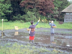 わらびのこう　蕨野行