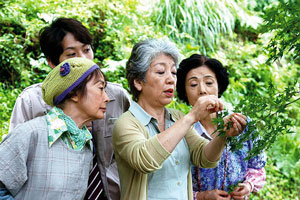 人生、いろどり