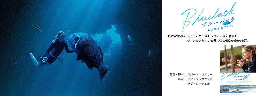 ブルーバック あの海を見ていた　
